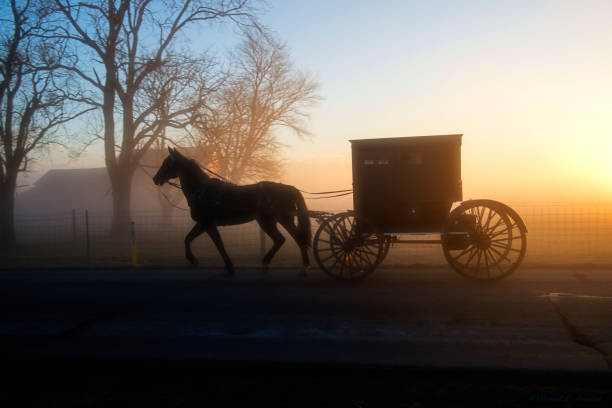 Amish Spice Cash Candle